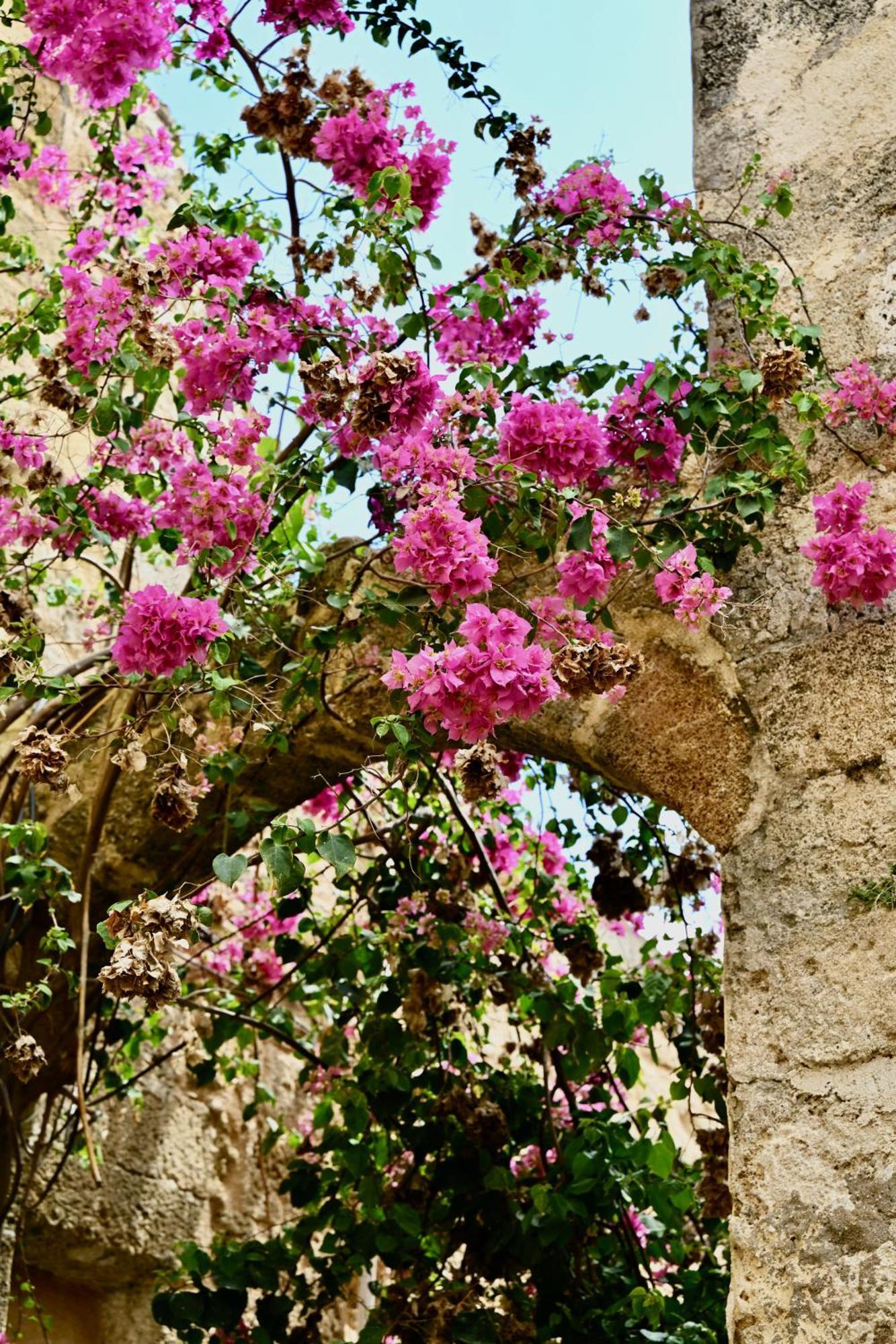 Penelope Garden House Old Town Apartamento Rhodes City Exterior foto